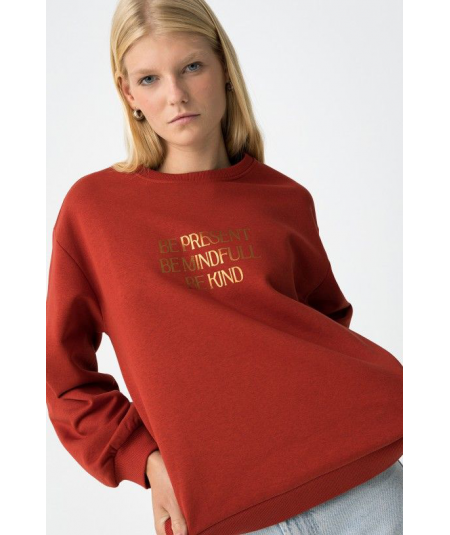 sudadera-regular-fit-estampado-metalico-tiffosi