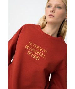 sudadera-regular-fit-estampado-metalico-tiffosi