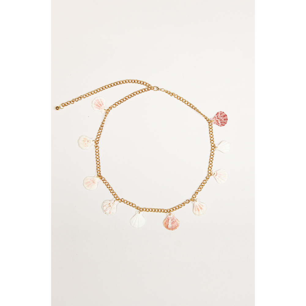 cinturon-salines-conchas-minueto