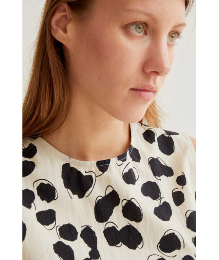 top-msisa-dalmata-compania-fantastica