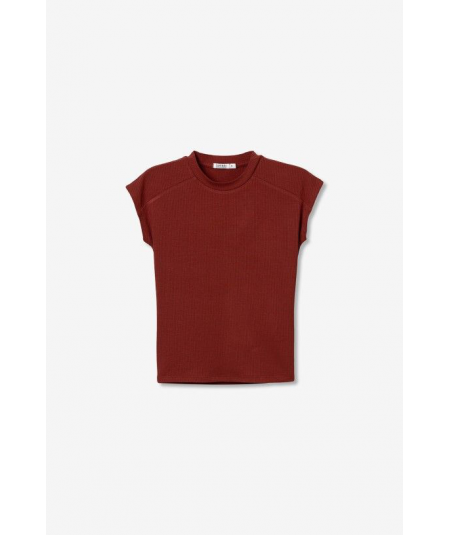 camiseta-canale-manga-sisa-de-tiffosi