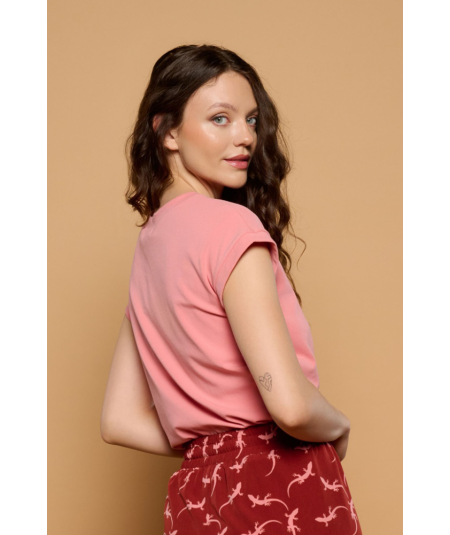 top-gecko-manga-sisa-de-minueto