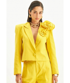 blazer-flores-lan