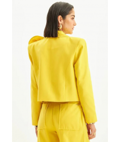 blazer-flores-lan