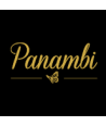 PANAMBI